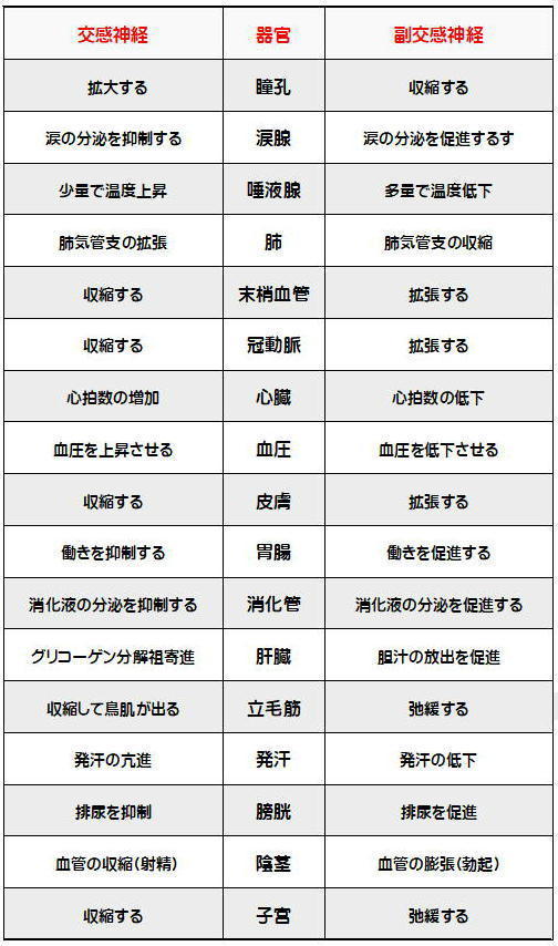 自律神経失調症 - 鍼灸院・整体 はり・きゅう 快気院（十勝：幕別町