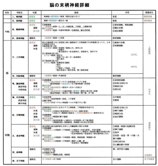 自律神経失調症 - 鍼灸院・整体 はり・きゅう 快気院（十勝