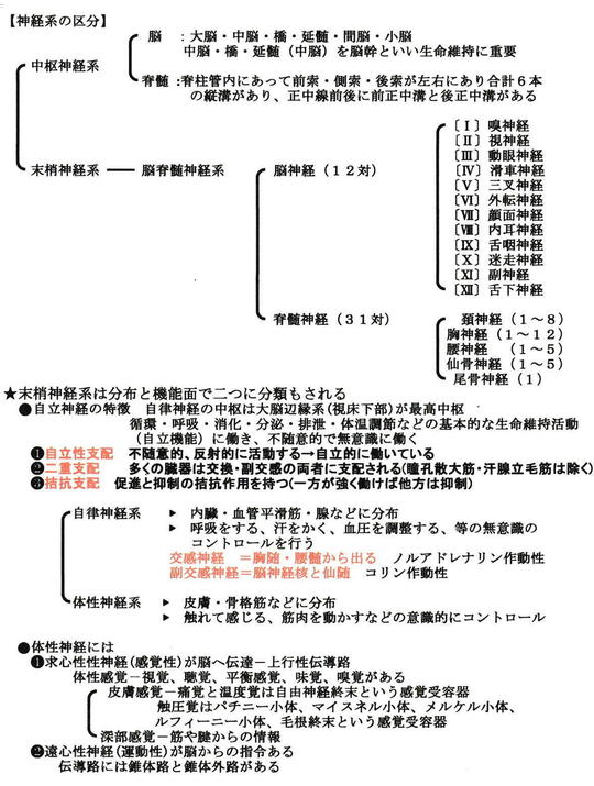 自律神経失調症 - 鍼灸院・整体 はり・きゅう 快気院（十勝：幕別町
